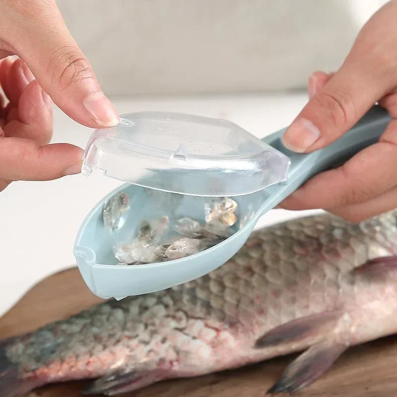 1PC Raschietto per Squame di P - Kitchen Gadgets Helpful recensione e prezzo
